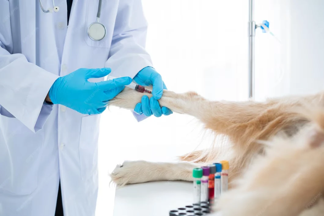 pet-Laboratory